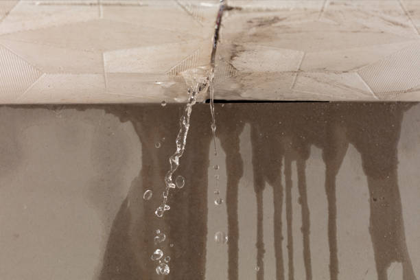 Professional Burst Pipe Cleanup technician working in Sand Lake, MI